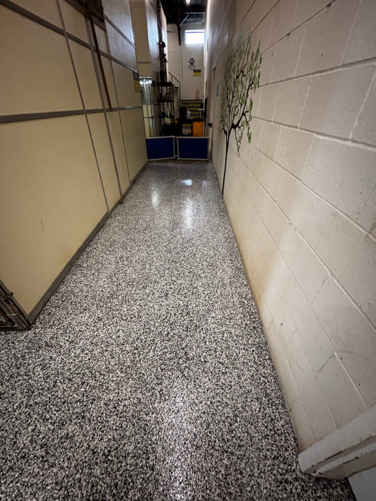 Dog kennel commercial epoxy flooring project in San Antonio, TX